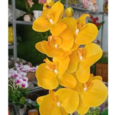 Cành hoa lan hồ điệp cao su 9 bông loại sịn - Giá chỉ 17.500đ, bền đẹp, giảm giá 4