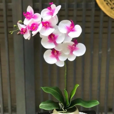 Cành hoa lan hồ điệp cao su 9 bông loại sịn - Giá chỉ 17.500đ, bền đẹp, giảm giá 5
