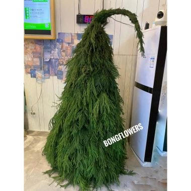 Cành Lá Giả Rủ Tùng Kim Trang Trí Noel, Decor Quán Giá Tốt 19000đ 4