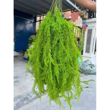 Cành Lá Giả Rủ Tùng Kim Trang Trí Noel, Decor Quán Giá Tốt 19000đ 12
