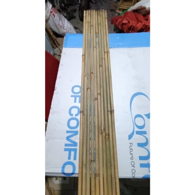 Cây Tre Cán Cờ Giàn Cây, Tre Hàng Rào ốp Tường Giá Rẻ 9179đ - Cây Tre Nhỏ Dài 1.5m-2m 2 Cây Tre Cán Cờ Giàn Cây, Tre Hàng Rào ốp Tường Giá Rẻ 9179đ - Cây Tre Nhỏ Dài 1.5m-2m 2
