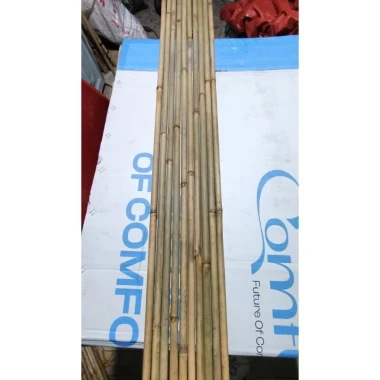 Cây Tre Cán Cờ Giàn Cây, Tre Hàng Rào ốp Tường Giá Rẻ 9179đ - Cây Tre Nhỏ Dài 1.5m-2m 7 Cây Tre Cán Cờ Giàn Cây, Tre Hàng Rào ốp Tường Giá Rẻ 9179đ - Cây Tre Nhỏ Dài 1.5m-2m 7