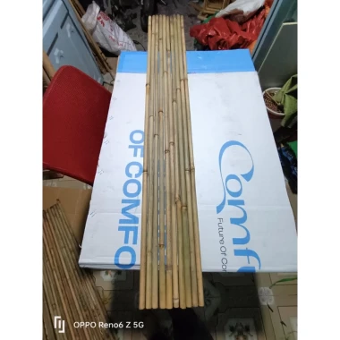 Cây Tre Cán Cờ Giàn Cây, Tre Hàng Rào ốp Tường Giá Rẻ 9179đ - Cây Tre Nhỏ Dài 1.5m-2m 8 Cây Tre Cán Cờ Giàn Cây, Tre Hàng Rào ốp Tường Giá Rẻ 9179đ - Cây Tre Nhỏ Dài 1.5m-2m 8