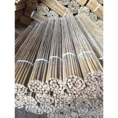 Cây Tre Cán Cờ Giàn Cây, Tre Hàng Rào ốp Tường Giá Rẻ 9179đ - Cây Tre Nhỏ Dài 1.5m-2m 9 Cây Tre Cán Cờ Giàn Cây, Tre Hàng Rào ốp Tường Giá Rẻ 9179đ - Cây Tre Nhỏ Dài 1.5m-2m 9