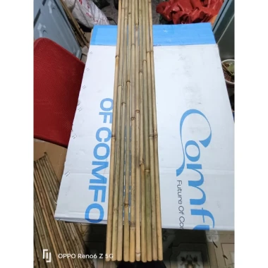 Cây Tre Cán Cờ Giàn Cây, Tre Hàng Rào ốp Tường Giá Rẻ 9179đ - Cây Tre Nhỏ Dài 1.5m-2m 10 Cây Tre Cán Cờ Giàn Cây, Tre Hàng Rào ốp Tường Giá Rẻ 9179đ - Cây Tre Nhỏ Dài 1.5m-2m 10