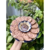 Chả Bò Đà Nẵng Giảm Giá - 500g Thơm Ngon Chỉ 140k Tặng Ship SG 3