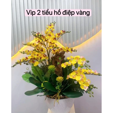 Chậu hoa lan hồ điệp cao cấp, hoa giả lụa và gỗ lũa tự nhiên, gống thật 1.380.000 2 Chậu hoa lan hồ điệp cao cấp, hoa giả lụa và gỗ lũa tự nhiên, gống thật 1.380.000 2