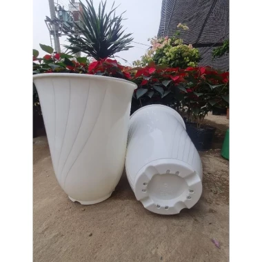 Chậu Nhựa Bom 370 Trắng 37x44cm - Giảm 18% Chỉ 70.000đ 4