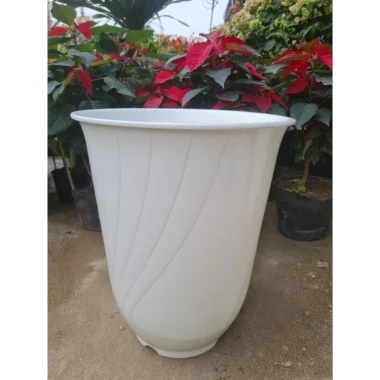 Chậu Nhựa Bom 370 Trắng 37x44cm - Giảm 18% Chỉ 70.000đ 7