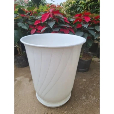 Chậu Nhựa Bom 370 Trắng 37x44cm - Giảm 18% Chỉ 70.000đ 8