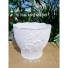 Chậu nhựa trồng cây bông bèo 320 giá rẻ chỉ 50k - Kích thước 32x28cm lý tưởng cho văn phòng 2