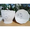 Chậu nhựa trồng cây bông bèo 320 giá rẻ chỉ 50k - Kích thước 32x28cm lý tưởng cho văn phòng 3