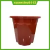 Chậu Nhựa Trồng Cây Hoa E280 Màu Nâu Dày Dặn - Giảm 9000đ Chỉ Còn 25900đ (24x21cm) 2