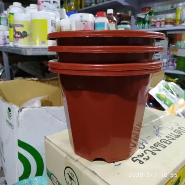 Chậu Nhựa Trồng Cây Hoa E280 Màu Nâu Dày Dặn - Giảm 9000đ Chỉ Còn 25900đ (24x21cm) 3 Chậu Nhựa Trồng Cây Hoa E280 Màu Nâu Dày Dặn - Giảm 9000đ Chỉ Còn 25900đ (24x21cm) 3