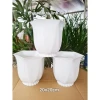 Chậu Nhựa Trồng Cây Linh Lan 220 - Khuyến Mãi 25k - Giá Rẻ Chỉ 25.000đ 2