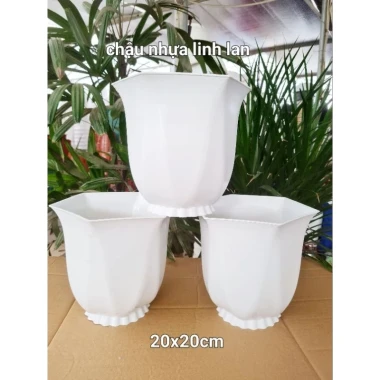 Chậu Nhựa Trồng Cây Linh Lan 220 - Khuyến Mãi 25k - Giá Rẻ Chỉ 25.000đ 2