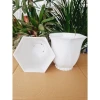 Chậu Nhựa Trồng Cây Linh Lan 220 - Khuyến Mãi 25k - Giá Rẻ Chỉ 25.000đ 3