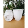 Chậu Nhựa Trồng Cây Linh Lan 220 - Khuyến Mãi 25k - Giá Rẻ Chỉ 25.000đ 7