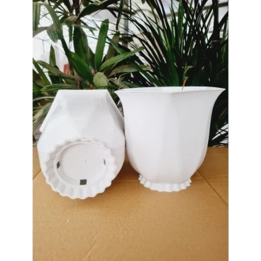 Chậu Nhựa Trồng Cây Linh Lan 220 - Khuyến Mãi 25k - Giá Rẻ Chỉ 25.000đ 7