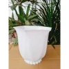 Chậu Nhựa Trồng Cây Linh Lan 220 - Khuyến Mãi 25k - Giá Rẻ Chỉ 25.000đ 8