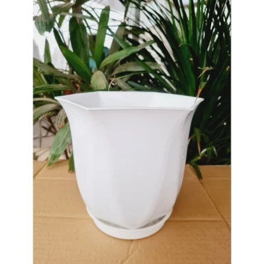 Chậu Nhựa Trồng Cây Linh Lan 220 - Khuyến Mãi 25k - Giá Rẻ Chỉ 25.000đ 9
