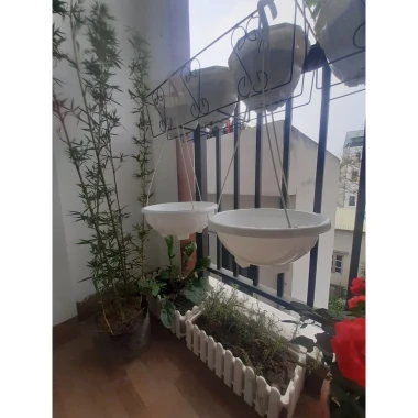 Chậu Treo Trồng Cây Hoa Dạ Yến Thảo Cúc Rủ 28cm Giá Cực Sỉ 13500đ 4 Chậu Treo Trồng Cây Hoa Dạ Yến Thảo Cúc Rủ 28cm Giá Cực Sỉ 13500đ 4