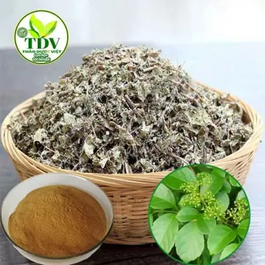 Chè dây Sapa 1kg hỗ trợ dạ dày - Thảo Dược Việt - Giảm 18% còn 72000đ 2
