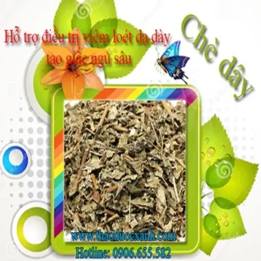 Chè dây Sapa 1kg hỗ trợ dạ dày - Thảo Dược Việt - Giảm 18% còn 72000đ 3