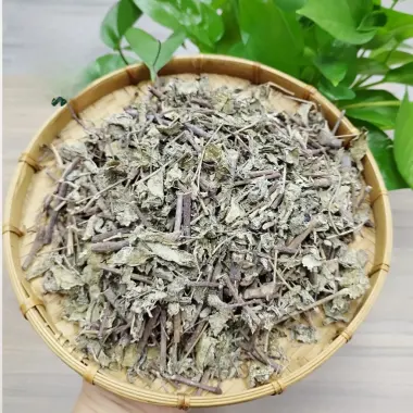 Chè Dây Sapa Nguyên Chất Điều Trị Đau Dạ Dày, Diệt Virus HP - Giảm Đau Bao Tử Hiệu Quả 1kg 5
