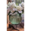 Chum Thủy Tinh Cắm Hoa Màu Xanh Độc Đáo - Decor Hiện Đại Giảm 21% chỉ 86k 5