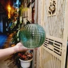 Chum Thủy Tinh Cắm Hoa Màu Xanh Độc Đáo - Decor Hiện Đại Giảm 21% chỉ 86k 10