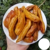 Chuối Đà Lạt sấy dẻo tự nhiên không đường 500g - Snack ăn vặt giòn ngon giá tốt 29k 2
