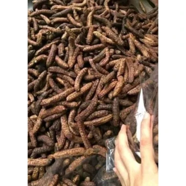 Chuối Hột Rừng Phơi Khô Ngâm Rượu Tốt - 1Kg Chuối Hột Loại Đẹp Giá Tốt 39000đ 4
