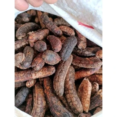 Chuối Hột Rừng Phơi Khô Ngâm Rượu Tốt - 1Kg Chuối Hột Loại Đẹp Giá Tốt 39000đ 6