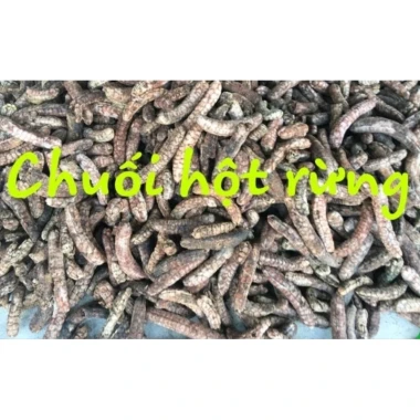 Chuối Hột Rừng Phơi Khô Ngâm Rượu Tốt - 1Kg Chuối Hột Loại Đẹp Giá Tốt 39000đ 10