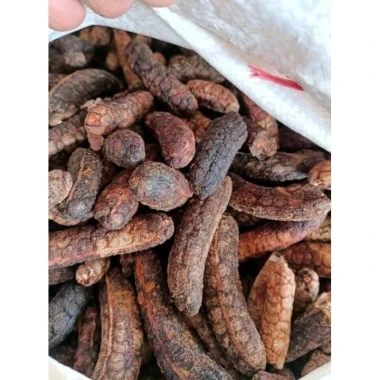 Chuối Hột Rừng Phơi Khô Ngâm Rượu Tốt - 1Kg Chuối Hột Loại Đẹp Giá Tốt 39000đ 11