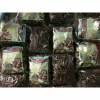 Chuối Rừng Tây Nguyên 1kg Nguyên Quả Tươi Ngon Giảm Giá 57000đ - Mua Ngay 2