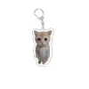 Chuột bông mèo alien xanh cute - Móc khóa mèo dễ thương giảm 22% còn 21774 VND 10