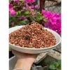 Cốm gạo lứt sấy rong biển 500g - Dinh dưỡng cao, giảm cân keto, tiện lợi, giá 65.000 VND 3