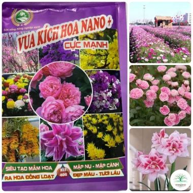 Combo 5 Gói Vua Kích Hoa NANO+ Cực Mạnh – Tạo Mầm, Mập Nụ, Mập Cành, Hoa Đầy Đủ