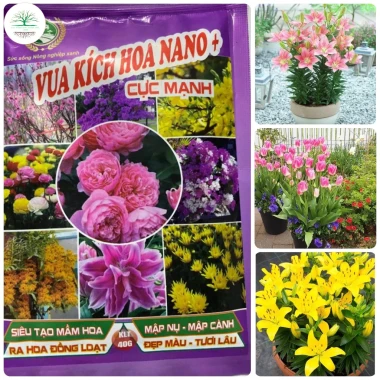 Combo 5 Gói Vua Kích Hoa NANO+ Cực Mạnh – Tạo Mầm, Mập Nụ, Mập Cành, Hoa Đầy Đủ