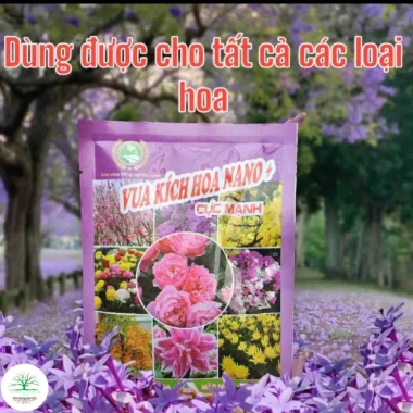 Combo 5 Gói Vua Kích Hoa NANO+ Cực Mạnh – Tạo Mầm, Mập Nụ, Mập Cành, Hoa Đầy Đủ