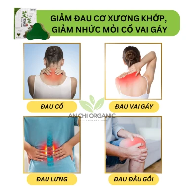 [COMBO GIÁ TỐT] Hộp 12 Miếng Cao Dán Ngải Cứu Giảm Đau Xương Khớp, Nhức Mỏi Cổ Vai Gáy Lưng Đầu Gối An Chi Organic 2