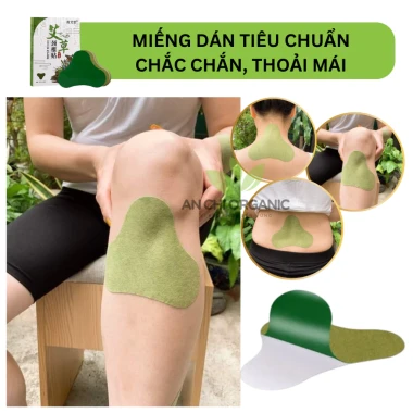 [COMBO GIÁ TỐT] Hộp 12 Miếng Cao Dán Ngải Cứu Giảm Đau Xương Khớp, Nhức Mỏi Cổ Vai Gáy Lưng Đầu Gối An Chi Organic 3
