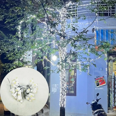 Combo LED F5 12V Chống Nước Ngoài Trời - Trang Trí Cây, Biển Quảng Cáo, Giá Ưu Đãi 240k 6