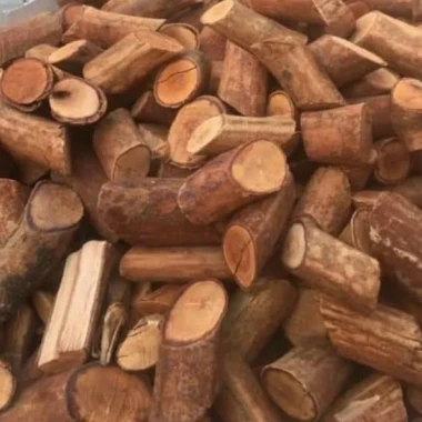 Combo Rượu Ngâm Táo Mèo Chuối Hột Đinh Lăng Uy tín - Giảm 442.000đ còn 355.846đ 3