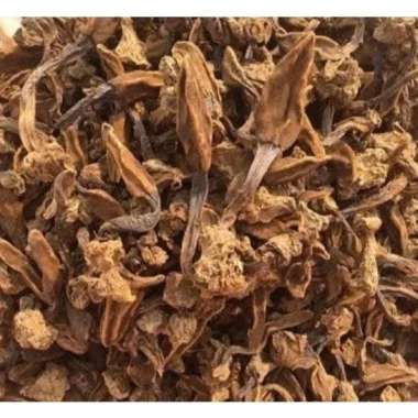 Combo Rượu Ngâm Táo Mèo Chuối Hột Đinh Lăng Uy tín - Giảm 442.000đ còn 355.846đ 5