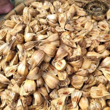 Combo Rượu Ngâm Táo Mèo Chuối Hột Đinh Lăng Uy tín - Giảm 442.000đ còn 355.846đ 6