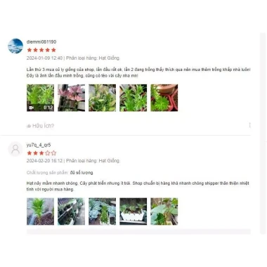 Củ ly lùn Hà Lan đa màu siêu đẹp - Giá chỉ 4500đ, tiết kiệm ngay! 10 Củ ly lùn Hà Lan đa màu siêu đẹp - Giá chỉ 4500đ, tiết kiệm ngay! 10