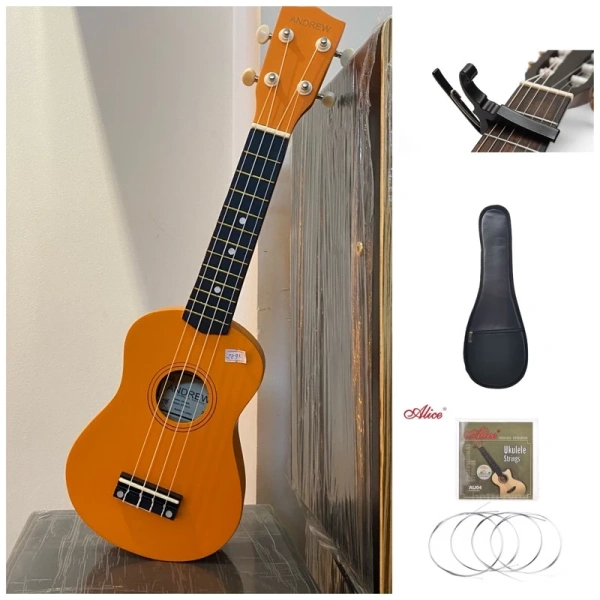 Buổi sáng, ukulele cá nhân vs ukulele gia đình: cảm nhận âm thanh và không gian sử dụng